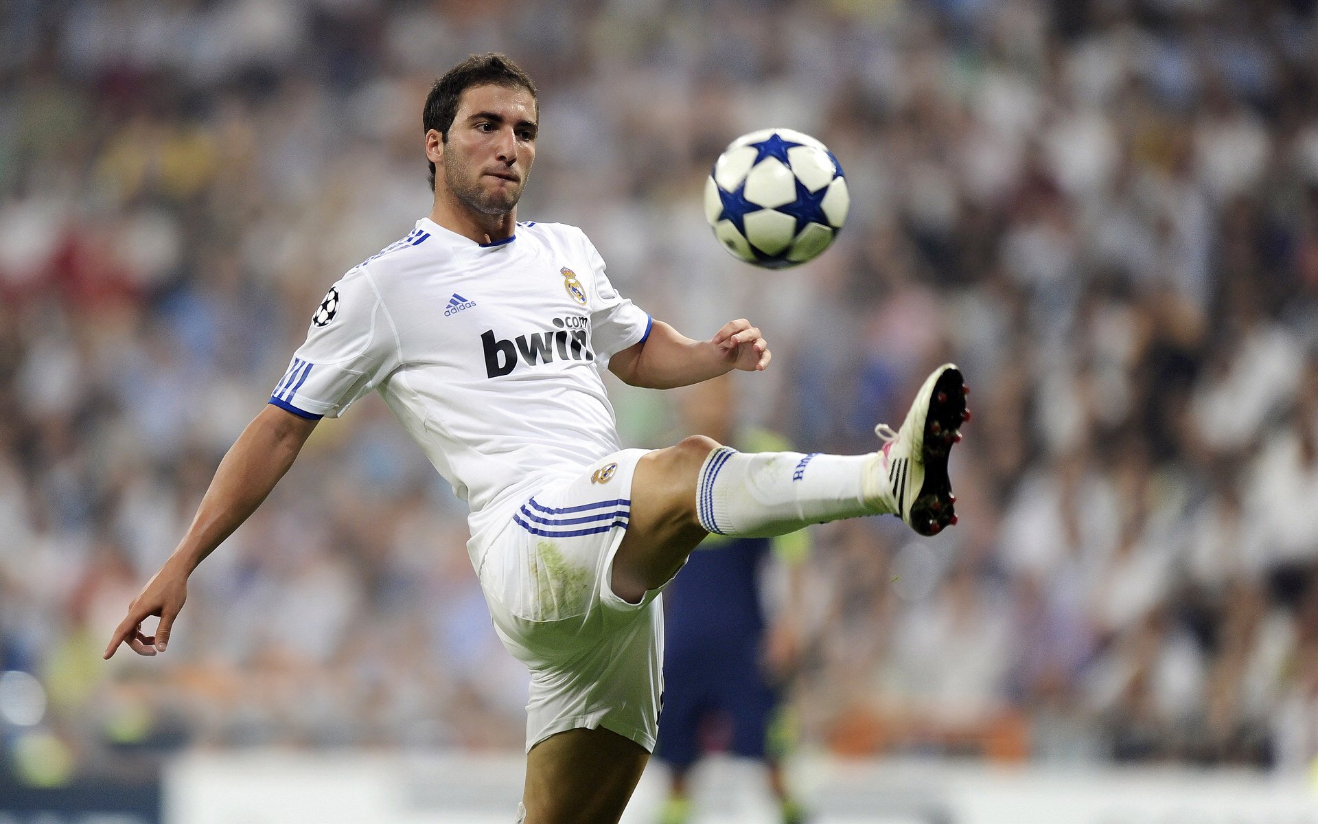 _比赛悬念丛生，谁将问鼎冠军？_，比赛悬念是什么意思